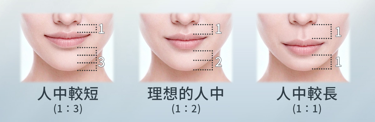 隱痕縮人中｜理想黃金比例