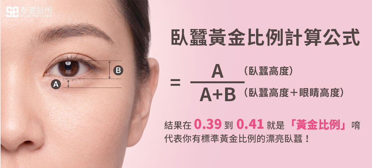 臥蠶黃金比例計算公式